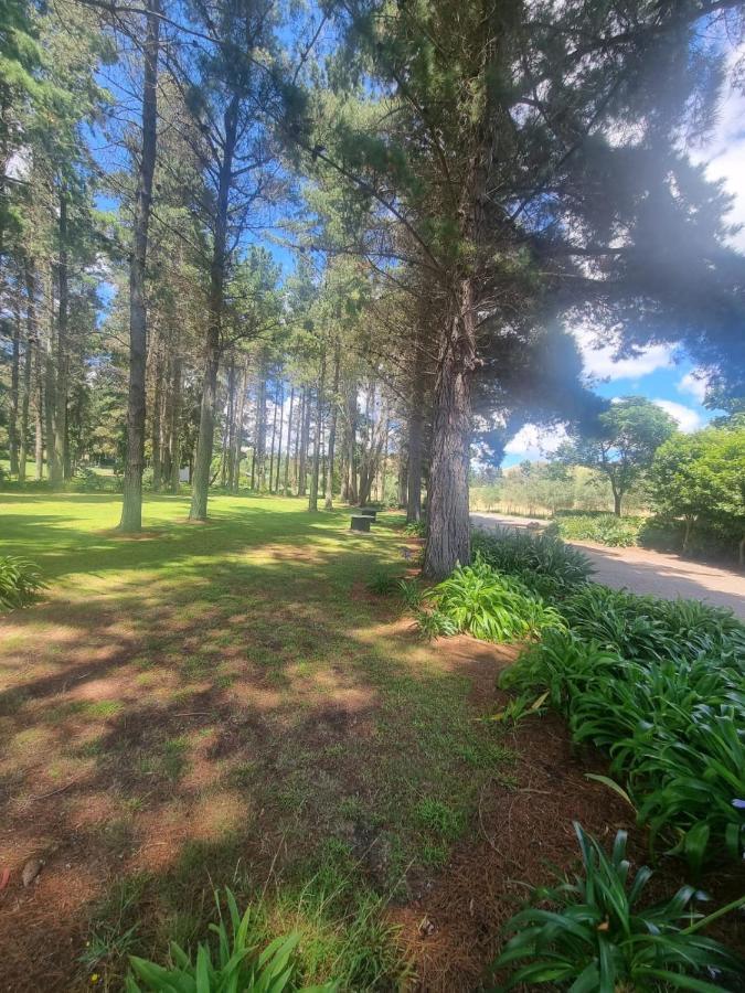 Savana Estate Poukawa Екстериор снимка