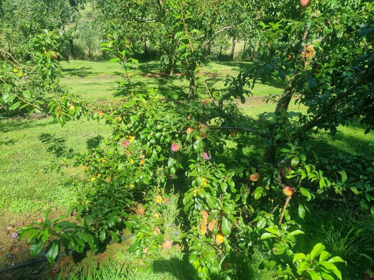Savana Estate Poukawa Екстериор снимка