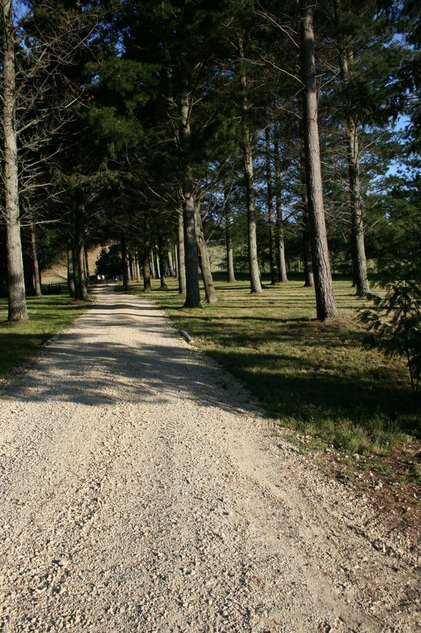Savana Estate Poukawa Екстериор снимка